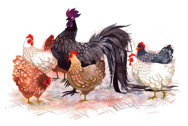 Tử vi 12 con giáp năm Bính Ngọ: Tổng quan tuổi Dậu 2026 - Ảnh 3.