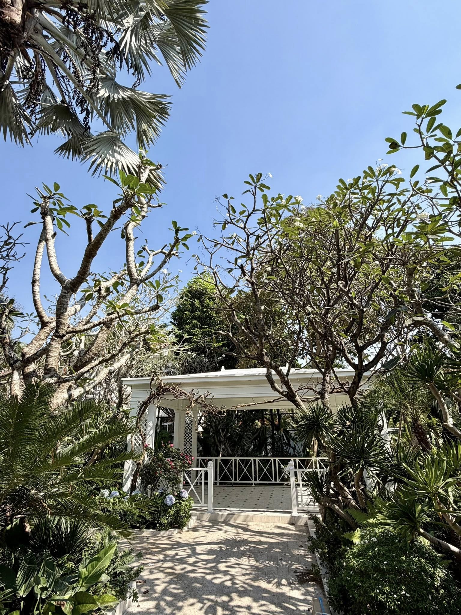 biet thu rong 2000m2 cua nhan va.jpg