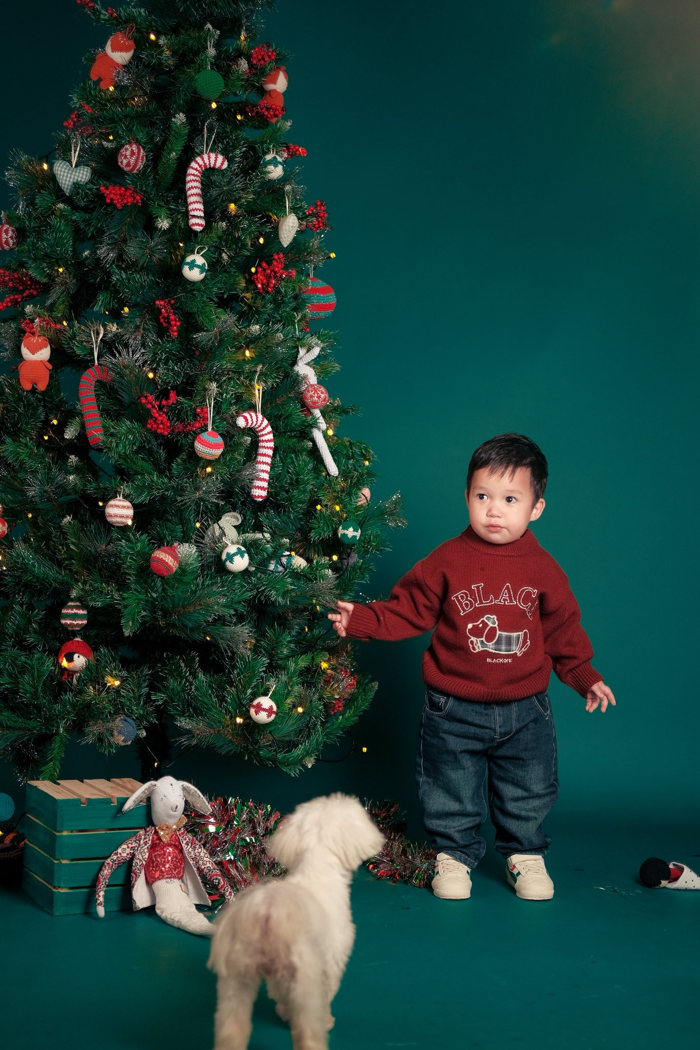 Con trai lai Tây nhà siêu mẫu Hà Anh đáng yêu trong bộ ảnh Giáng sinh - Ảnh 7.