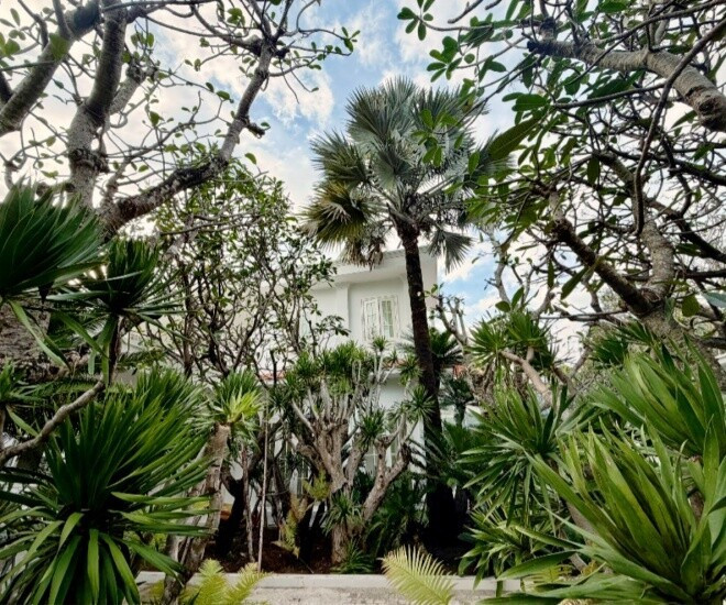 Đỗ Mạnh Cường và căn biệt thự 2000 m² tạo không gian sống lý tưởng cho các con - Ảnh 6.