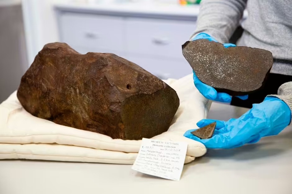 Đào đất tìm vàng, người đàn ông nhặt được thứ còn quý hơn vàng ngàn lần - Ảnh 2.