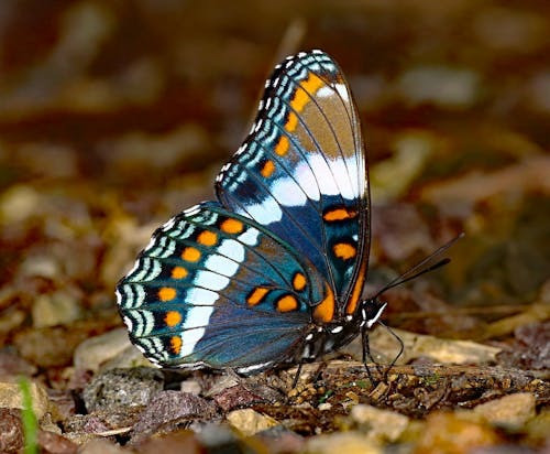 Ngày sinh Âm lịch của người đang có vận tài lộc nở rộ, sắp có khoản tiết kiệm lớn trong vài năm tới - Ảnh 2.