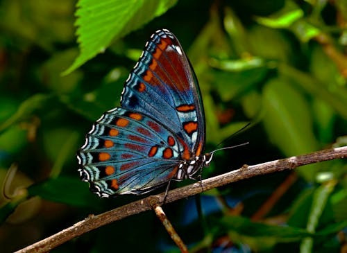 Ngày sinh Âm lịch của người đang có vận tài lộc nở rộ, sắp có khoản tiết kiệm lớn trong vài năm tới - Ảnh 3.