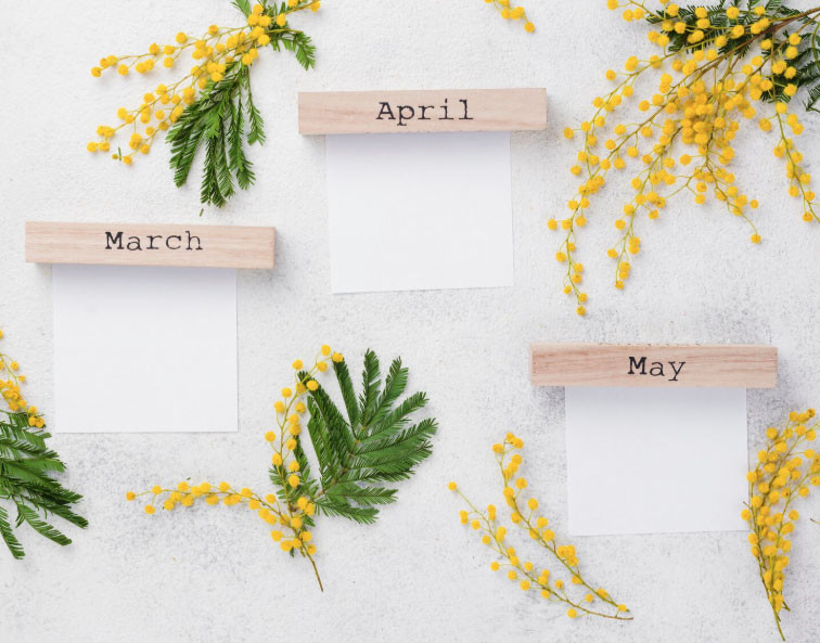 Những tháng sinh có thể giúp chủ nhân dễ leo lên vị trí CEO - Ảnh 1.