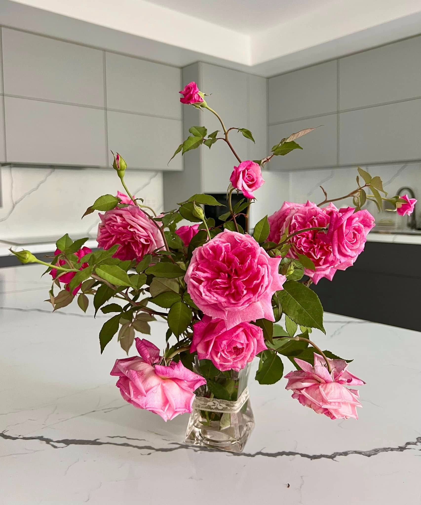 Thứ quý giá trong biệt thự 21 tỷ của MC Quyền Linh- Ảnh 9.