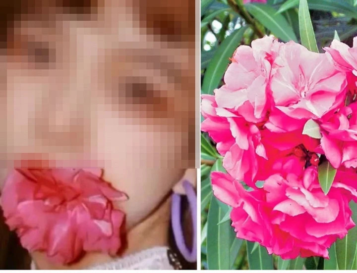 Một cô gái Trung Quốc phải nhập viện vì ngậm hoa trúc đào để chụp ảnh.