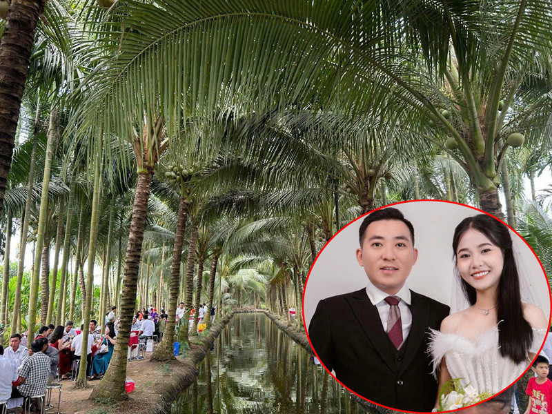 anh trong bài 2.jpg