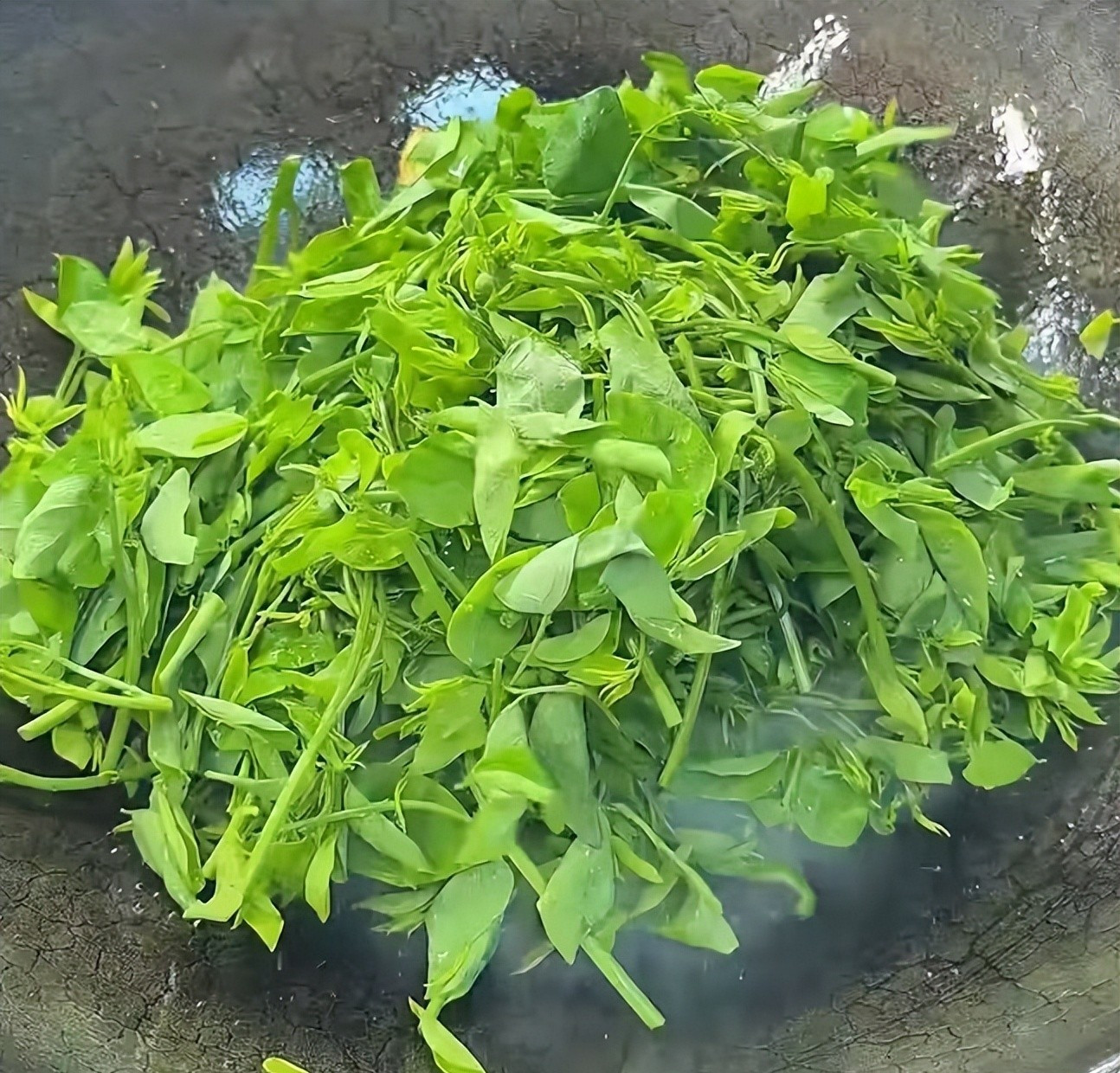 Loại rau xưa nay chỉ tuốt lá nấu canh, nhưng làm theo cách này lại cực ngon, giòn vô cùng và ai ăn cũng bất ngờ- Ảnh 5.