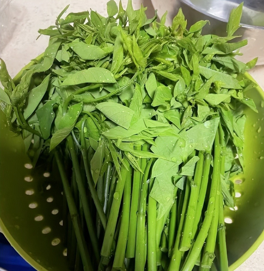 Loại rau xưa nay chỉ tuốt lá nấu canh, nhưng làm theo cách này lại cực ngon, giòn vô cùng và ai ăn cũng bất ngờ- Ảnh 2.