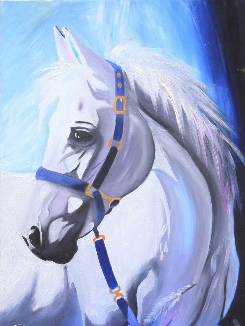 Tử vi 12 con giáp thứ Năm ngày 4122025 Tiền tài và sự nghiệp cùng thăng hoa