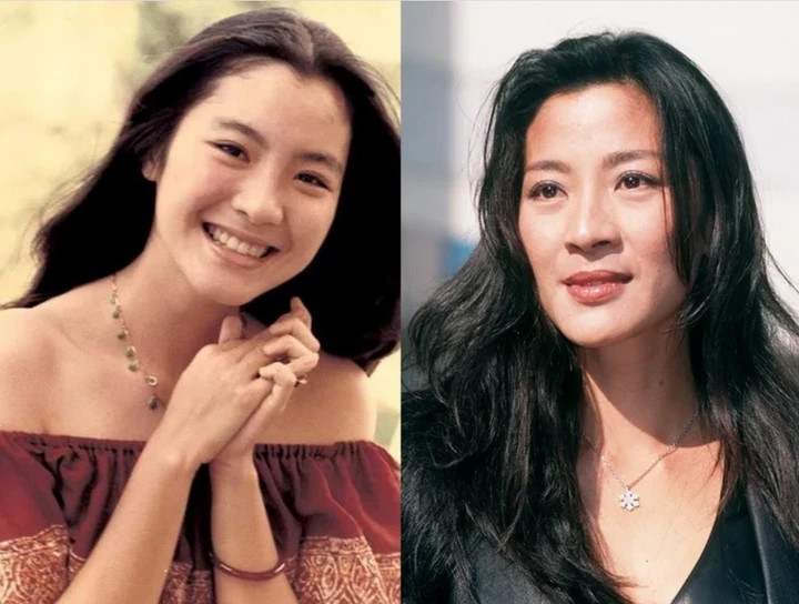 Dương Tử Quỳnh là Hoa hậu Malaysia năm 1983.