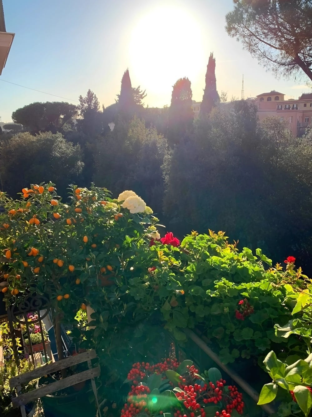 Mua biệt thự triệu đô ở Mỹ cho bố mẹ, Hoa hậu Ngô Mỹ Uyên từng giàu có và nổi tiếng đến mức nào? - Ảnh 6.