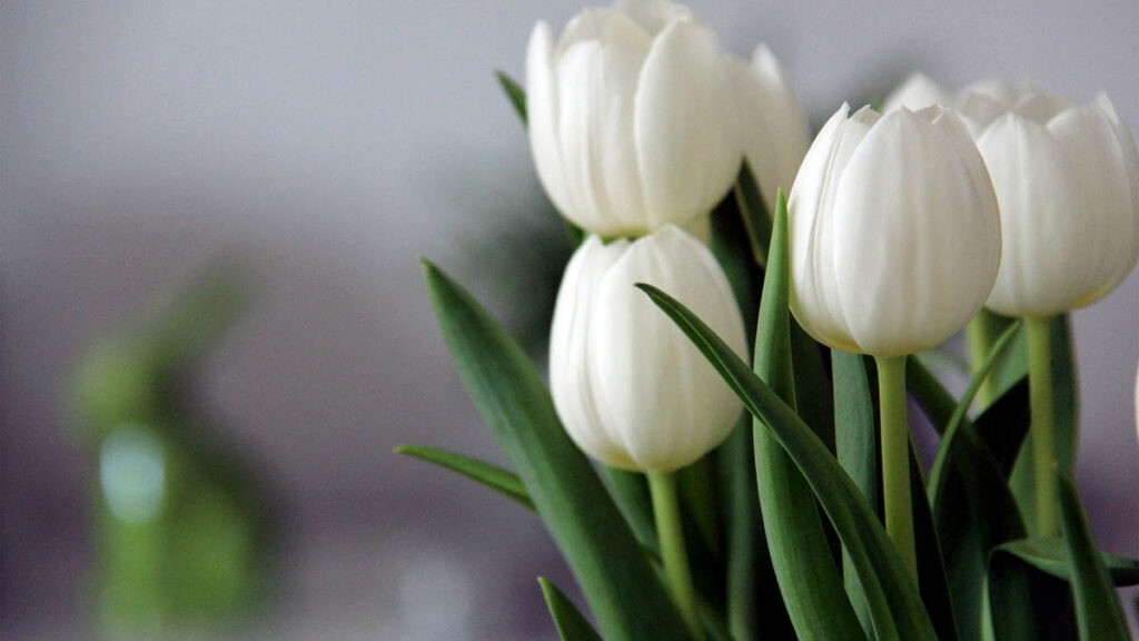 4 khung giờ sinh Âm lịch hoàng kim: Vận đỏ phủ kín, làm gì cũng thuận - Ảnh 1.