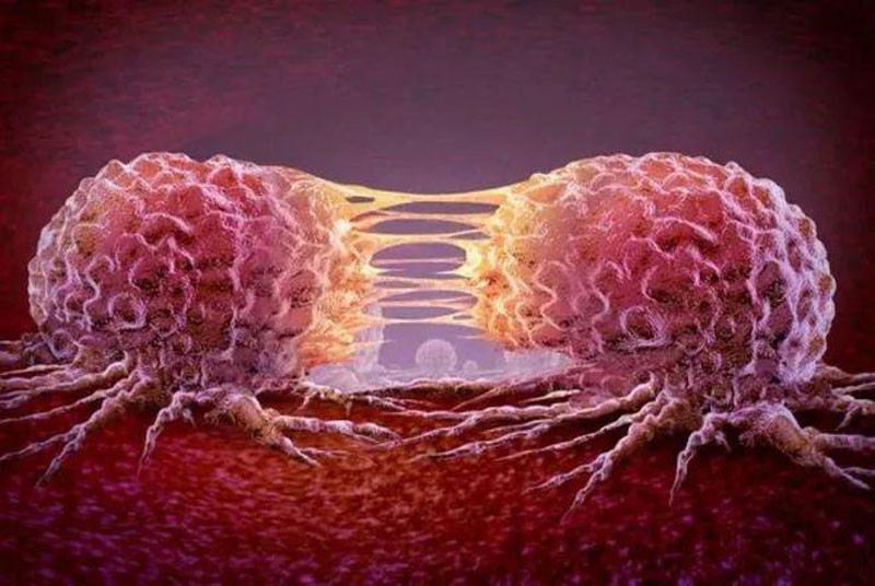 Nghiên cứu chỉ rõ ô nhiễm không khí kích hoạt tế bào ung thư