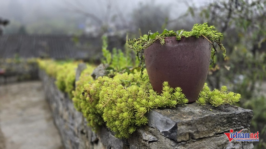 W-64996c69 472d 4bce 8a90 cefac17f60dd.jpg