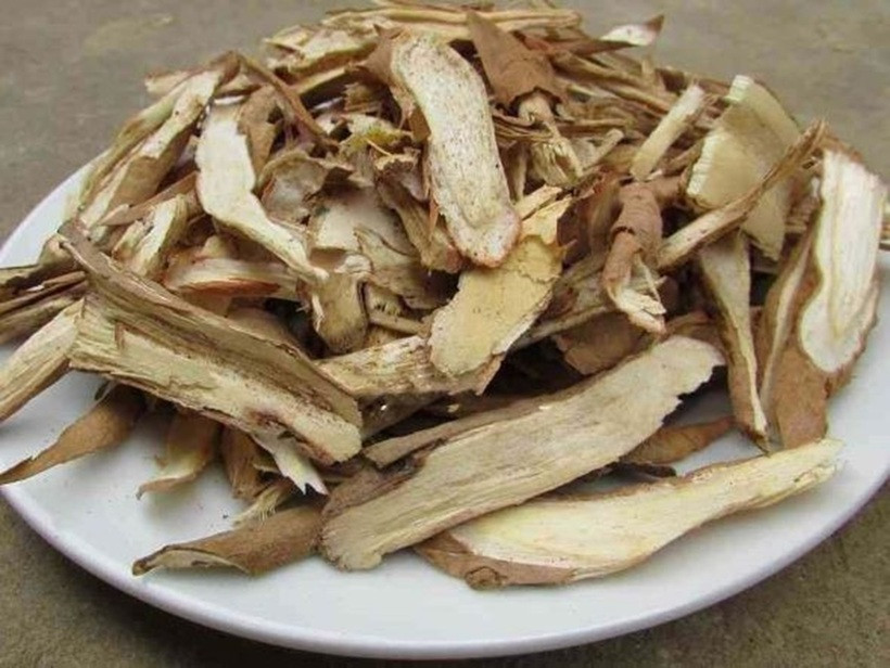 Giải mã loại cây mọc đầy trên núi giá đến hơn 1 triệu/kg, là