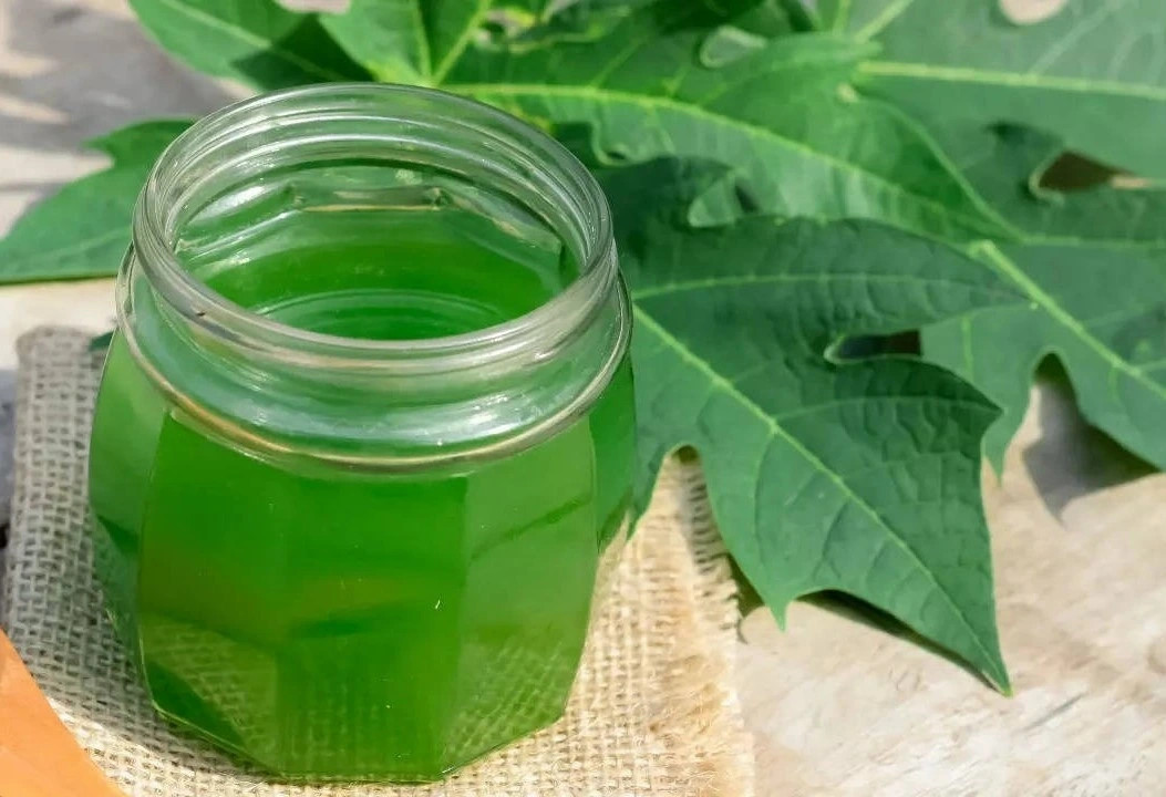 viet nam co loai la tuong khong an duoc, hoa ra lai la vi thuoc sieu bo duong hinh anh 2