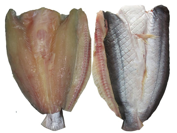 Cá dứa một nắng có thịt săn chắc, ít mỡ hơn cá ba sa, có thể nhìn rõ đường chỉ đen trên lưng.