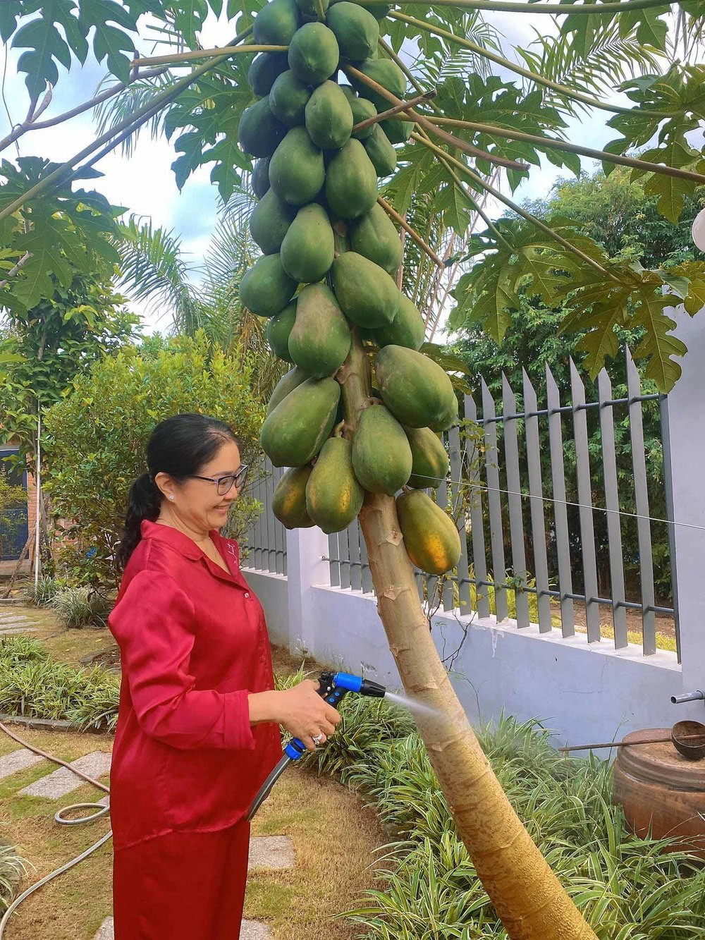Lê Phương có 2 nhà vườn ở quê: Phủ cây xanh như khu nghỉ dưỡng, thoải mái câu cá, lội sông - Ảnh 22.