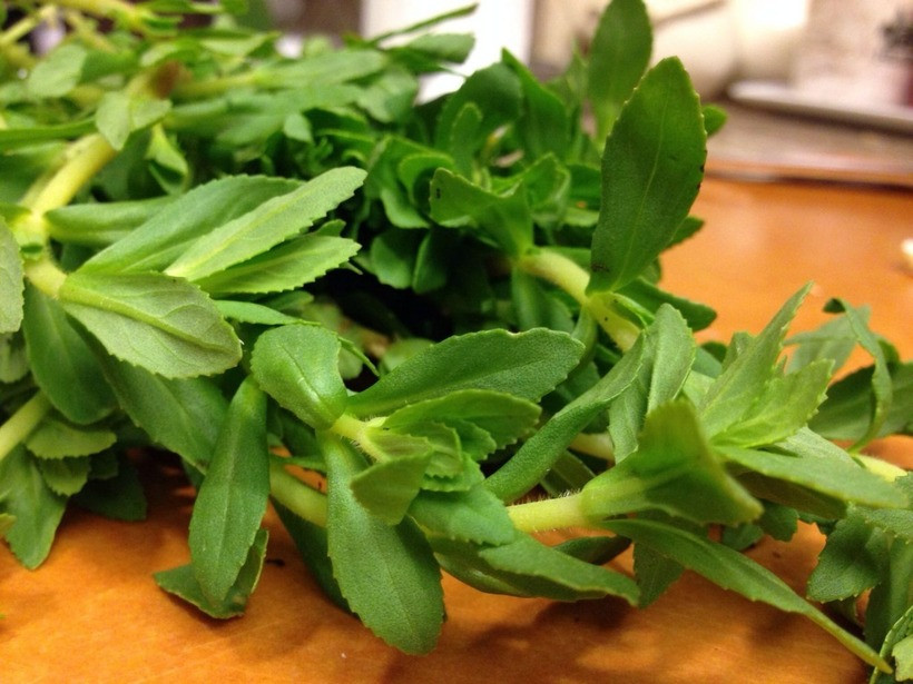 Rau ngổ có tên khoa học là Limnophila chinensis và còn có nhiều tên gọi khác như ngổ điếc, ngổ hương, rau om,...