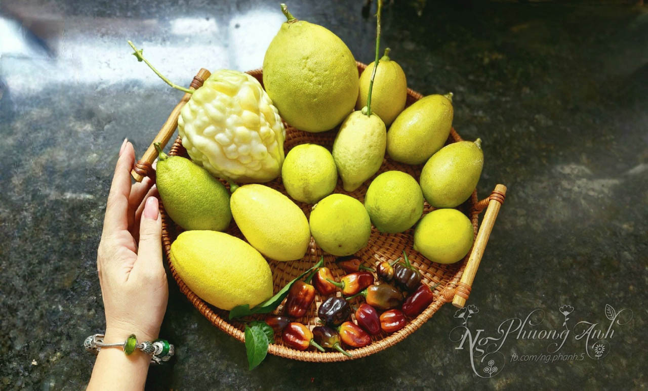 vườn sân thượng tphcm.jpg