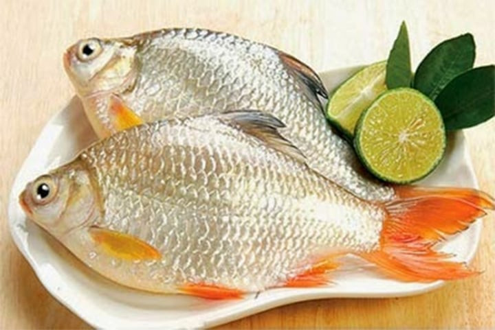 Một trong những yếu tố quan trọng nhất khi chế biến cá là chọn cá tươi. Cá càng tươi, mùi tanh càng ít và dễ chế biến hơn. (Ảnh: Gopests)