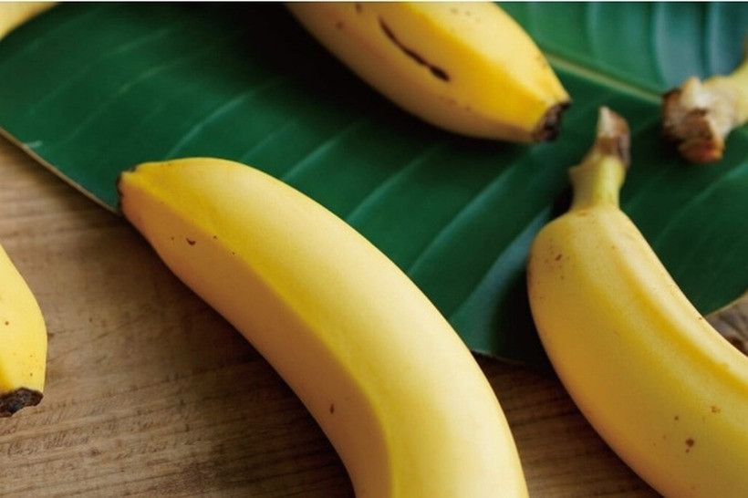 Theo thống kê, có đến 99,98% lượng chuối tiêu thụ tại Nhật Bản là nhập khẩu từ nước ngoài.