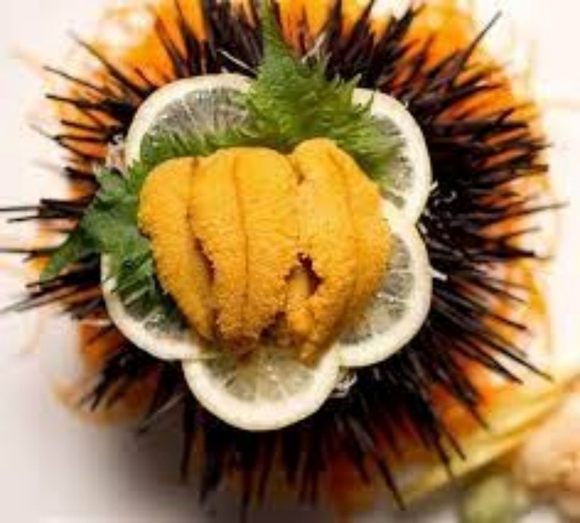 Nhum biển có thể được chế biến thành vô vàn món ngon hấp dẫn