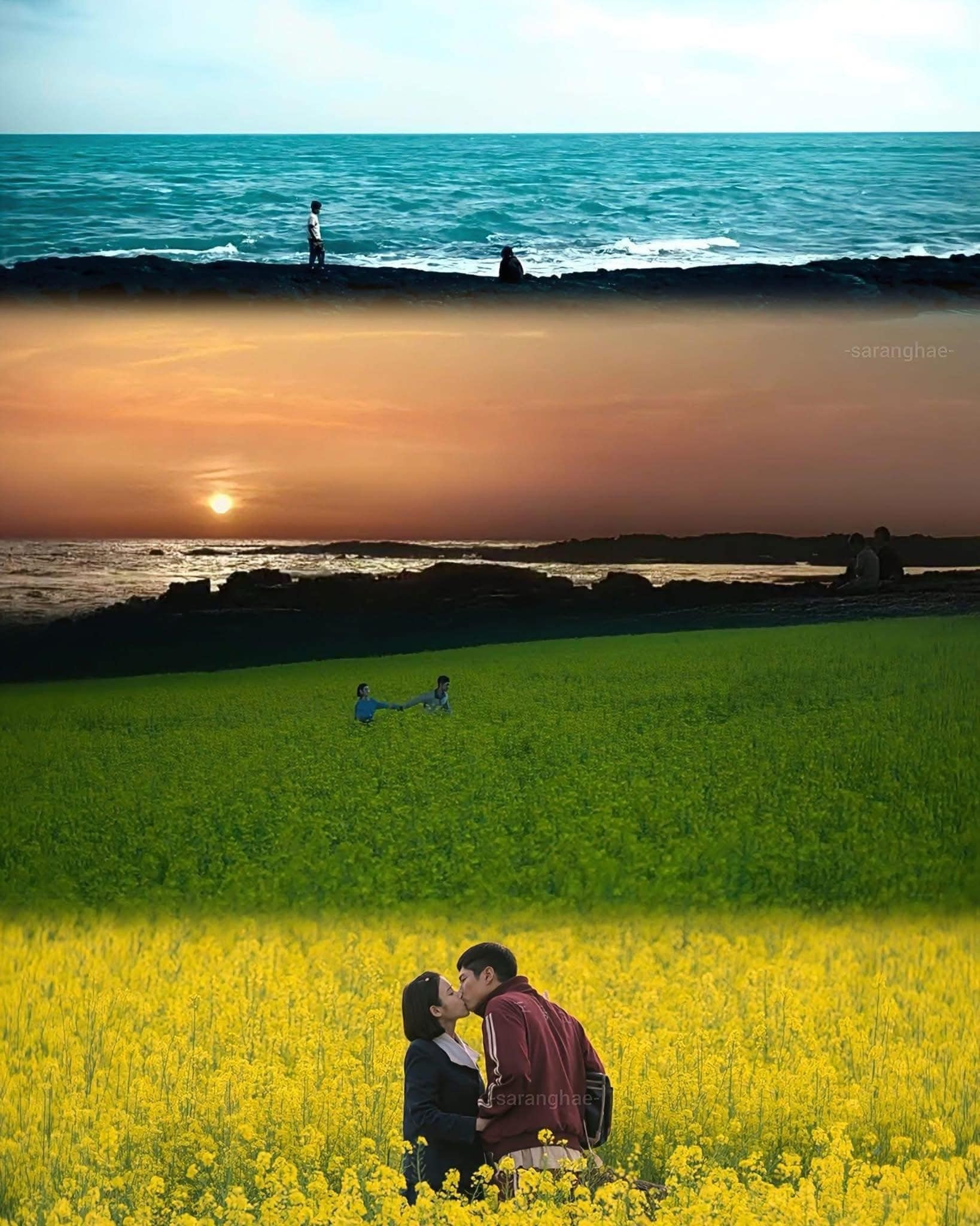 'Khi cuộc đời cho bạn quả quýt' - bộ phim khiến khán giả khóc sưng mắt ảnh 11