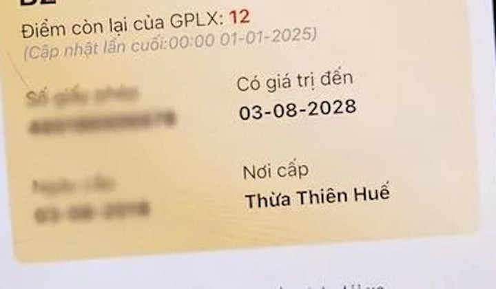 Để tránh những rủi ro không đáng có, bạn nên thường xuyên cập nhật điểm số giấy phép lái xe và điều chỉnh hành vi tham gia giao thông cho phù hợp.