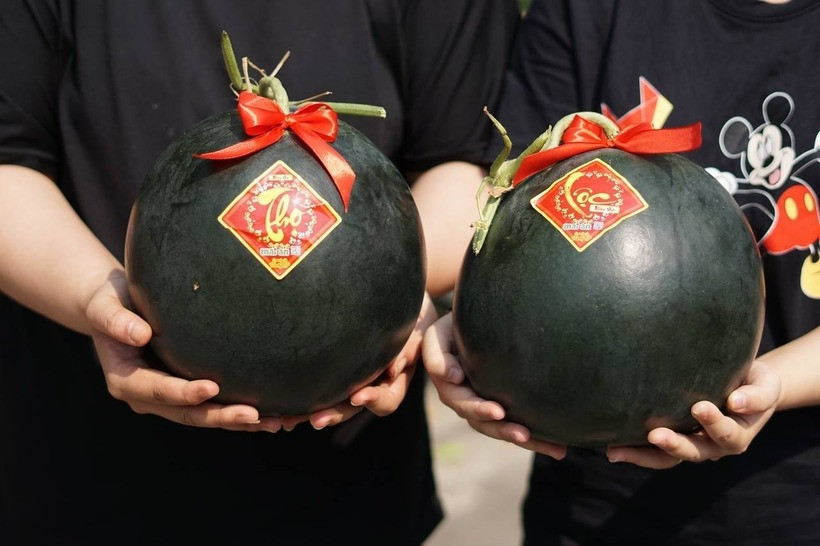 Dưa hấu đen Densuke được mệnh danh là