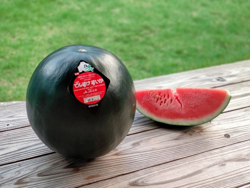 Dưa hấu đen Densuke nổi lên như một biểu tượng của sự sang trọng và tinh tế. Ảnh minh họa