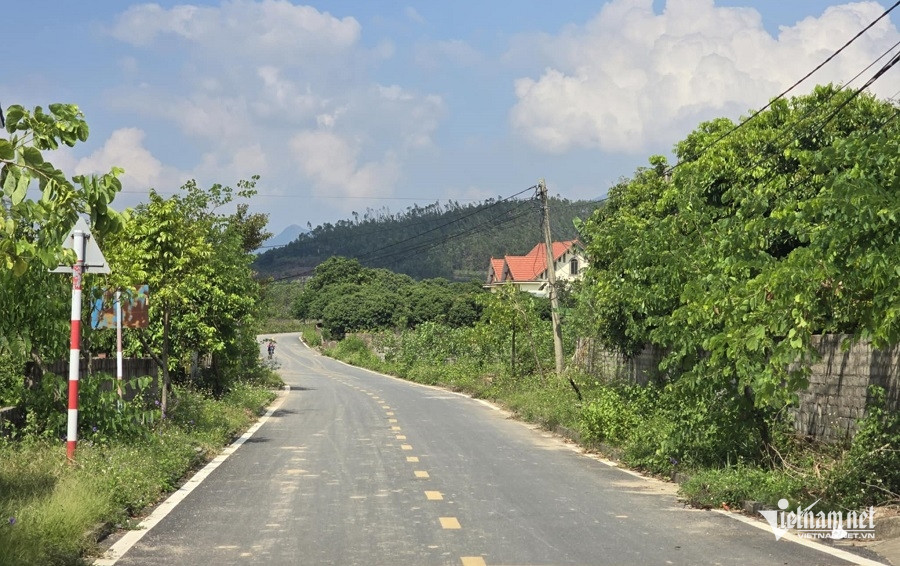 W-Ảnh đường.jpg