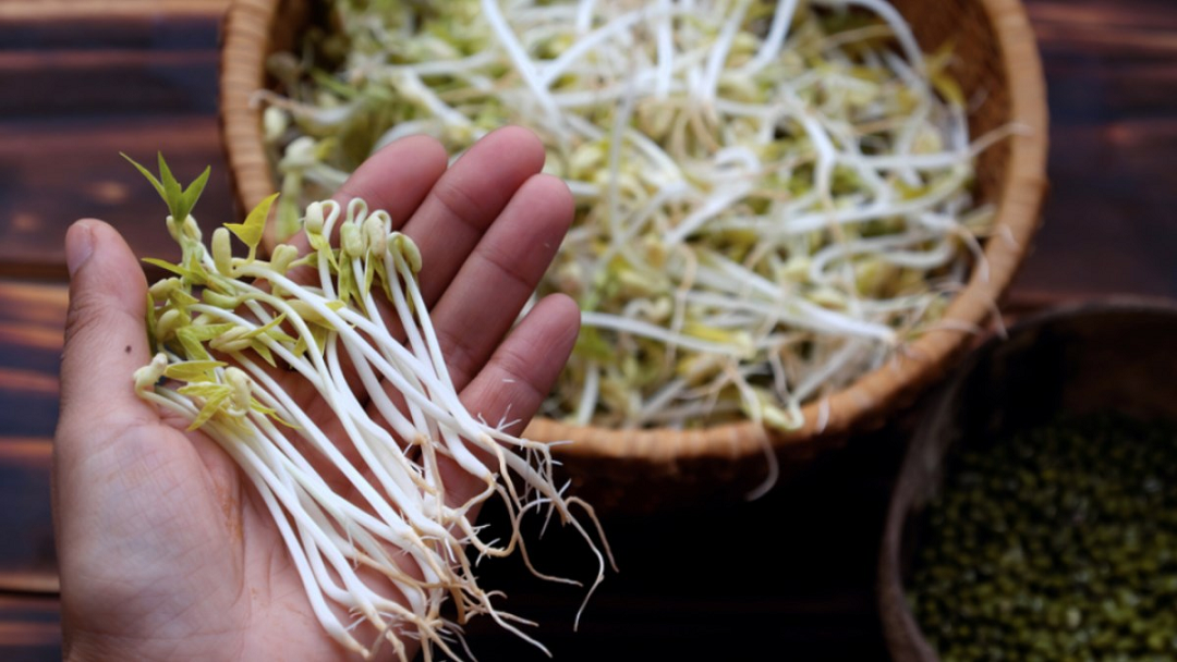 2 loại rau dễ là