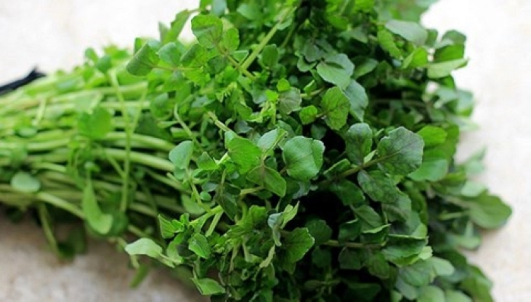 2 loại rau dễ là