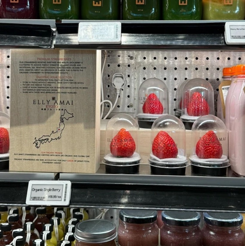 Những trái dâu tây