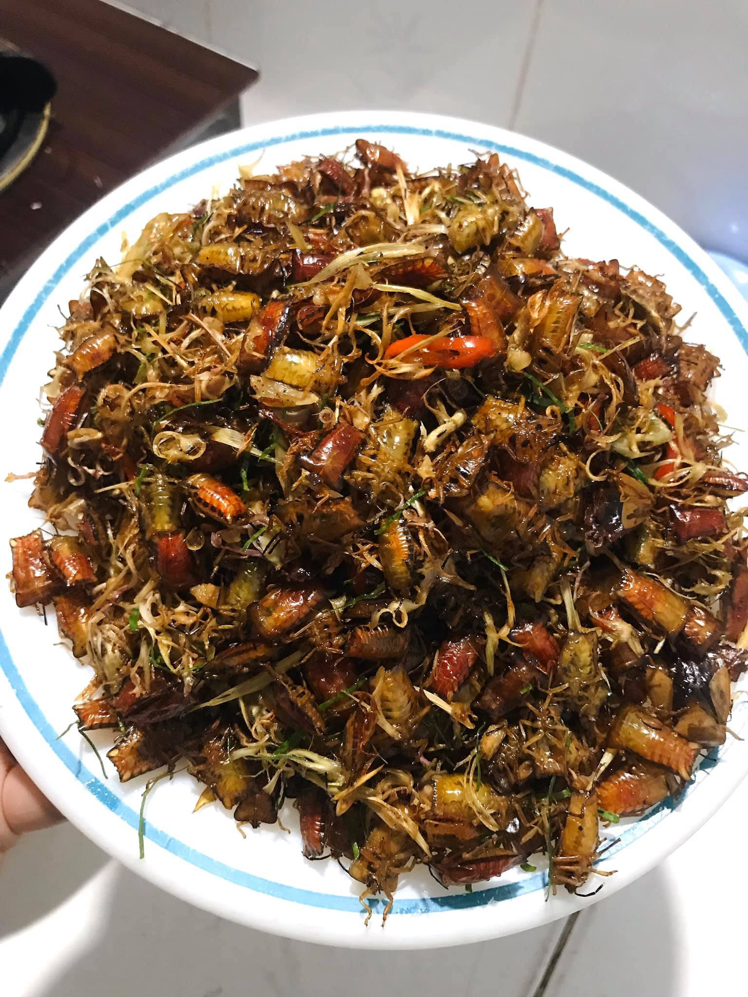 bọ xít hà đinh.jpg