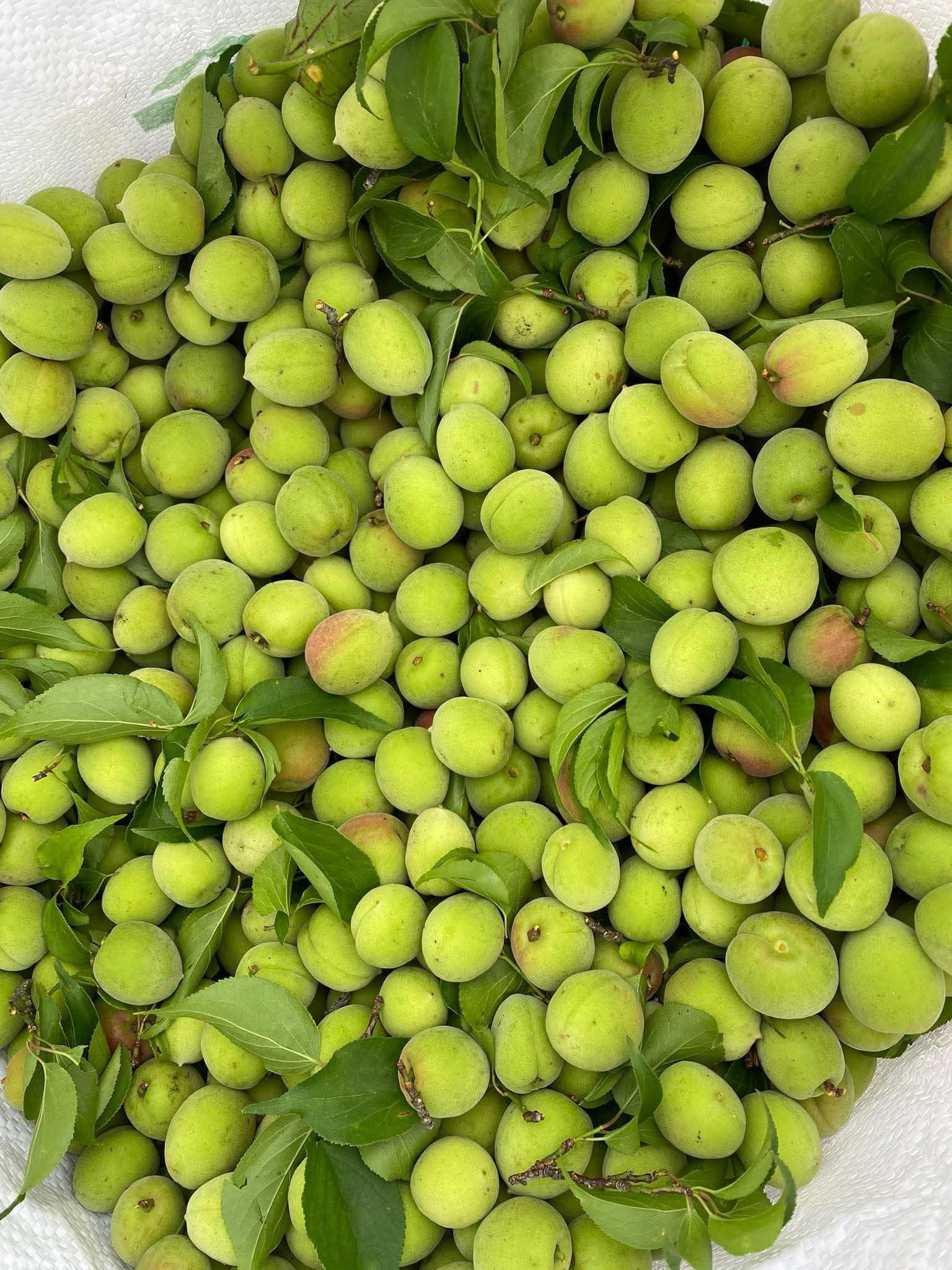 Loại quả Việt có tác dụng hỗ trợ giảm mỡ đang vào mùa bán đầy chợ giá chỉ vài chục ngàn đồng/kg - Ảnh 1.