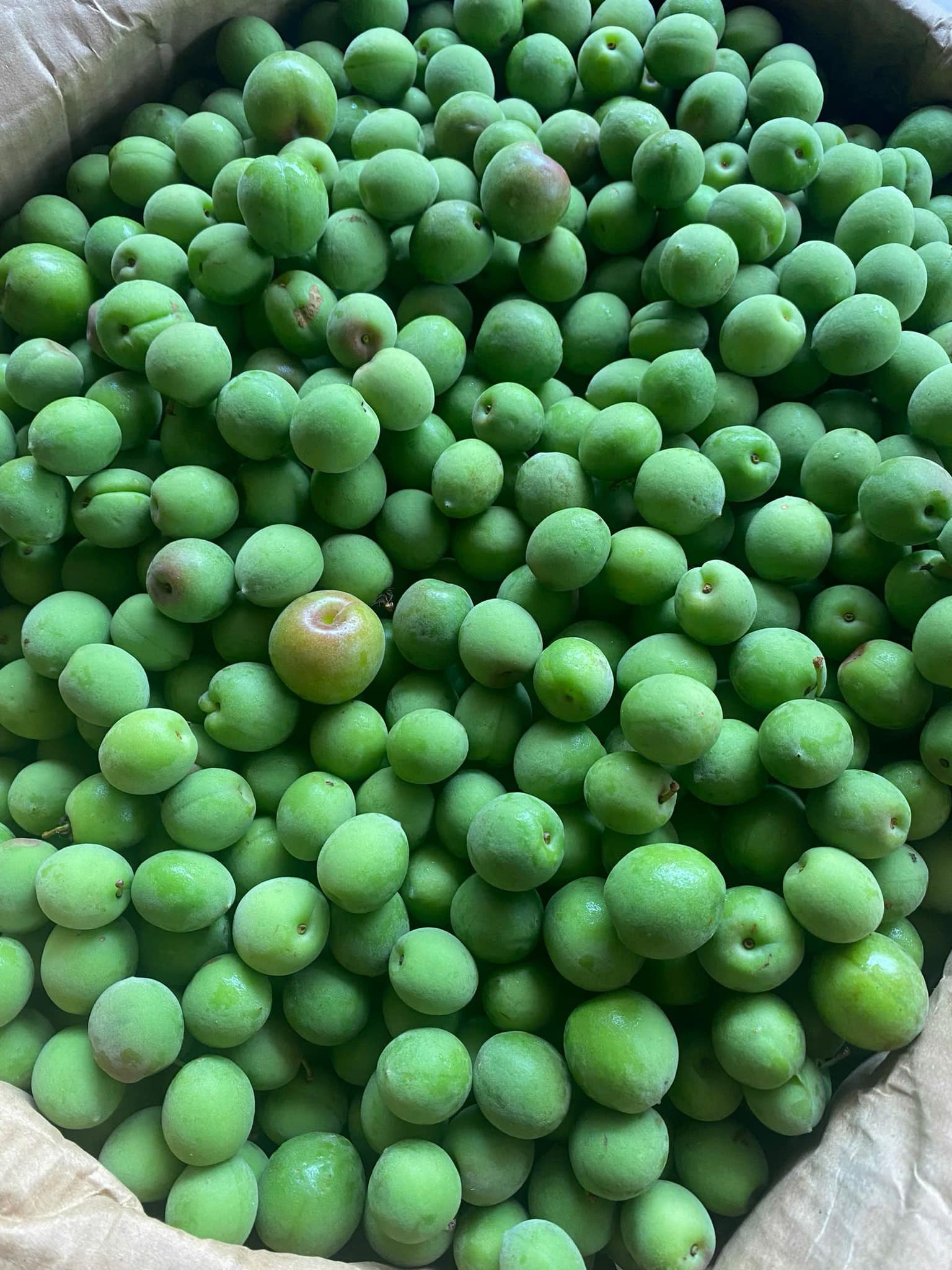 Loại quả Việt có tác dụng hỗ trợ giảm mỡ đang vào mùa bán đầy chợ giá chỉ vài chục ngàn đồng/kg - Ảnh 3.