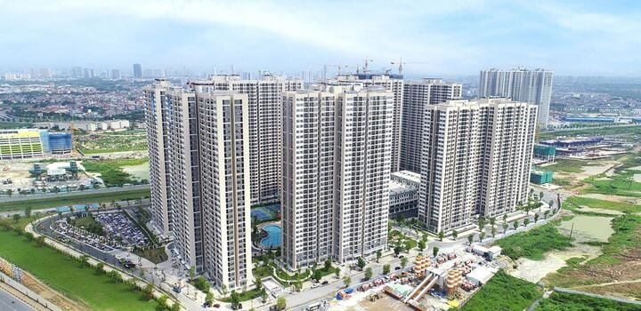 Nhiều người băn khoăn không biết nên đầu tư vào chung cư hay đất nền? (Ảnh minh họa).