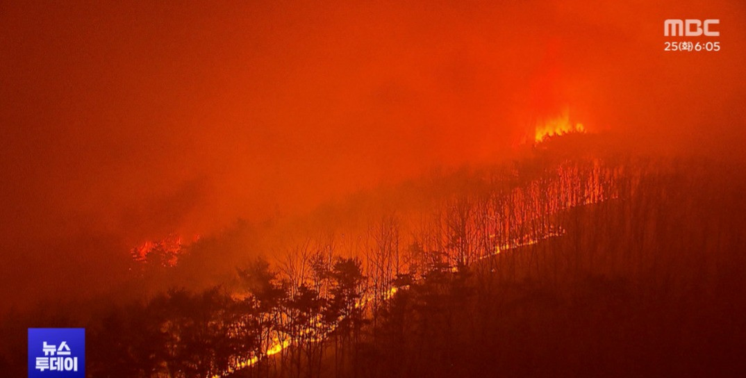 Kinh hoàng cảnh tượng tựa