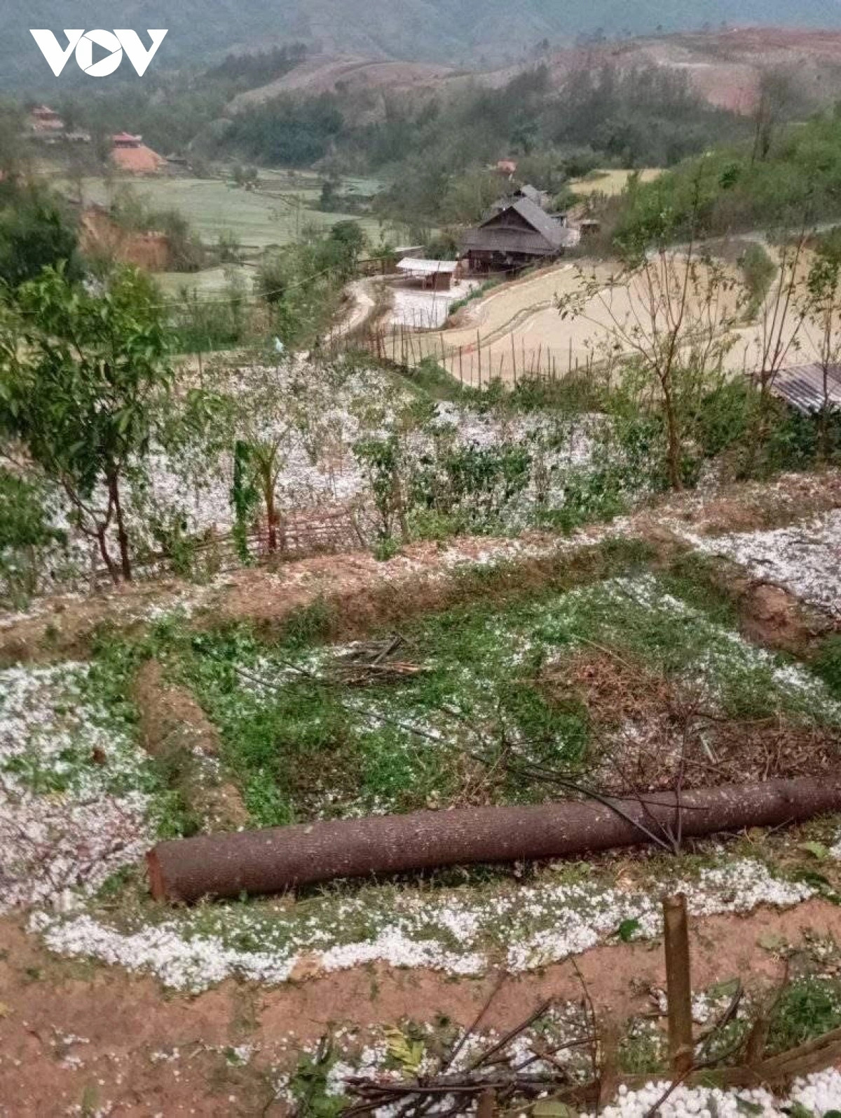 nguoi dan hoang loan vi mua da, dong loc lam toc mai nha, tan nat hoa mau hinh anh 2