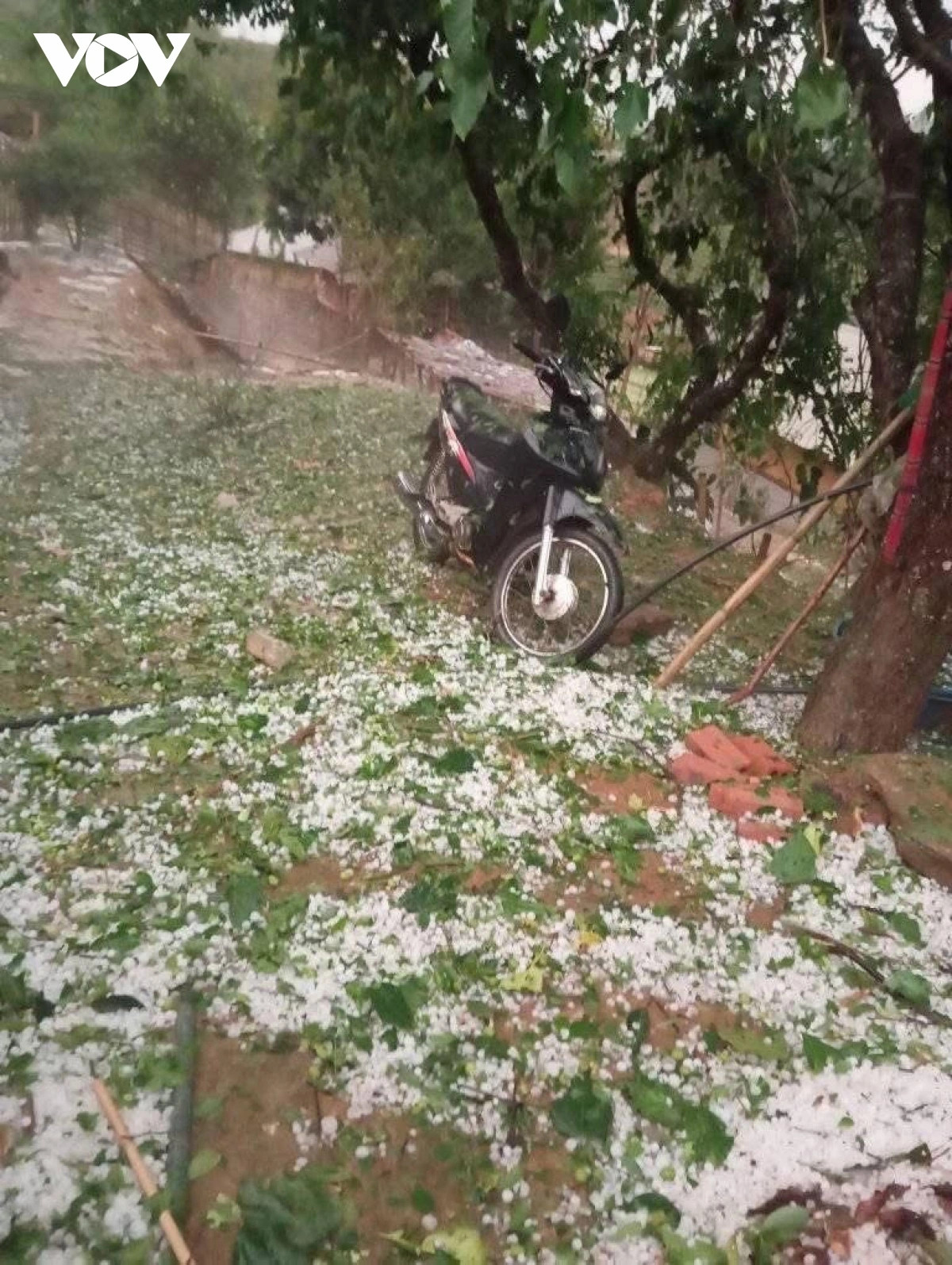 nguoi dan hoang loan vi mua da, dong loc lam toc mai nha, tan nat hoa mau hinh anh 1