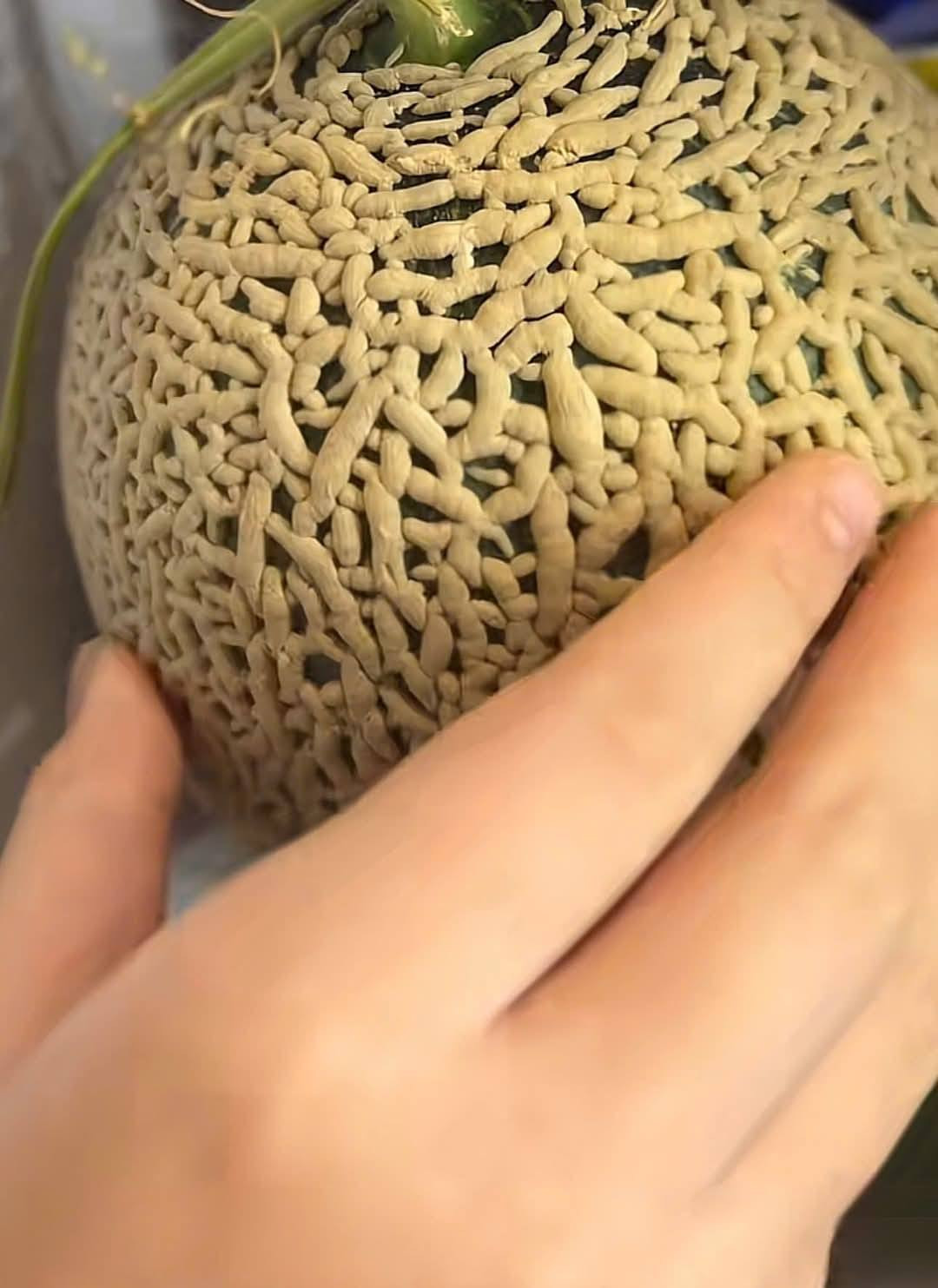 4871827581221844388302537118112542867006221451n