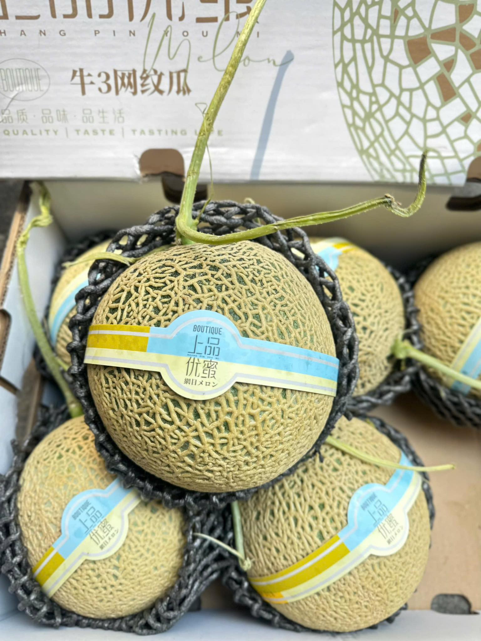 48667730427621443973112361962157970855104140n