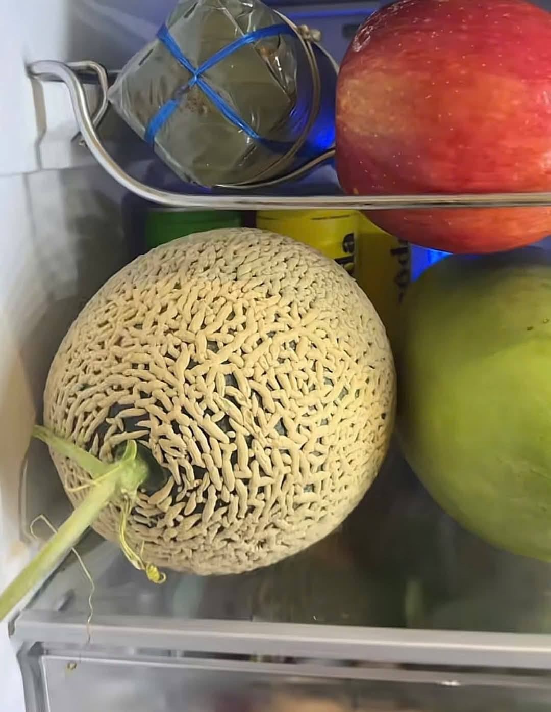 4865731111221844388182537114147126843485759065n