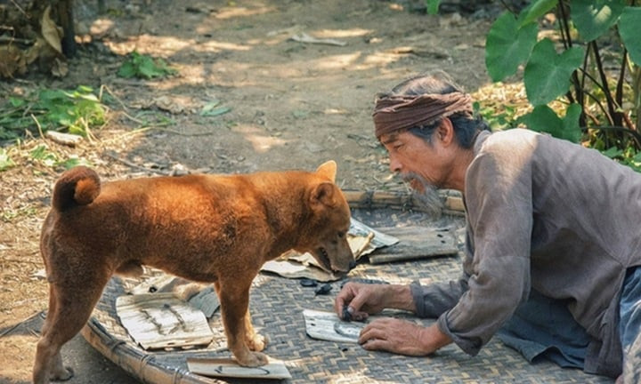 Phim Cậu Vàng bị cho là dùng chiêu trò thách thức dư luận để tạo chú ý.