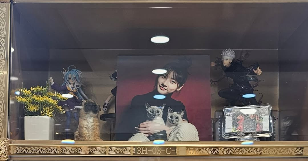 Kim Sae Ron chết không được yên ảnh 5