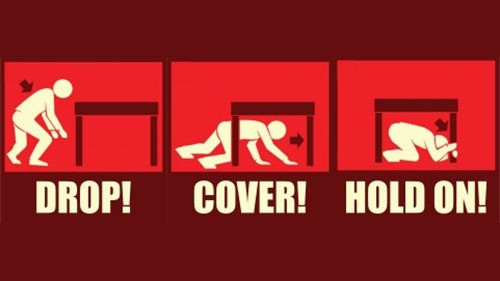 dropcoverholdoninfographic002