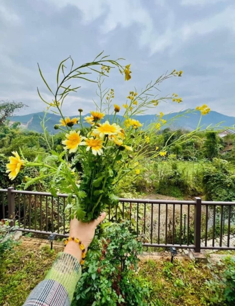 Khu vườn rực rỡ của MC Diễm Quỳnh được chồng cô mát tay chăm sóc- Ảnh 9.